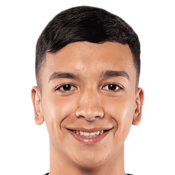 托马斯·阿维莱斯